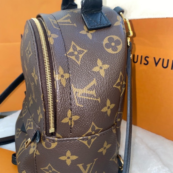 Louis Vuitton PALM SPRINGS LEATHER BACKPACK - Picture 2 of 10